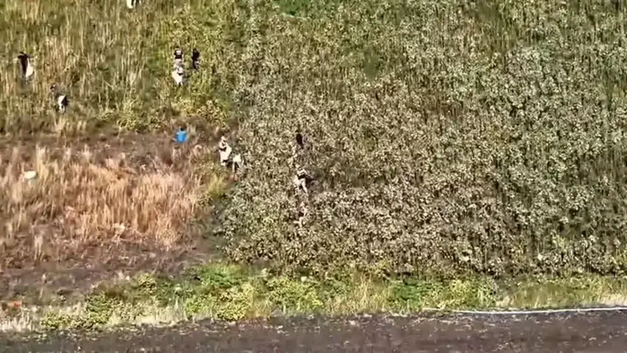 Hatay'da Jandarma'nın Uyuşturucu ile Mücadele Operasyonu