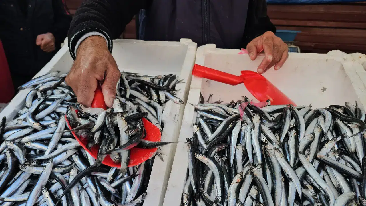 Ortahisar'da Deniz Ürünleri Fiyatlarında Dikkat Çeken Yükseliş!
