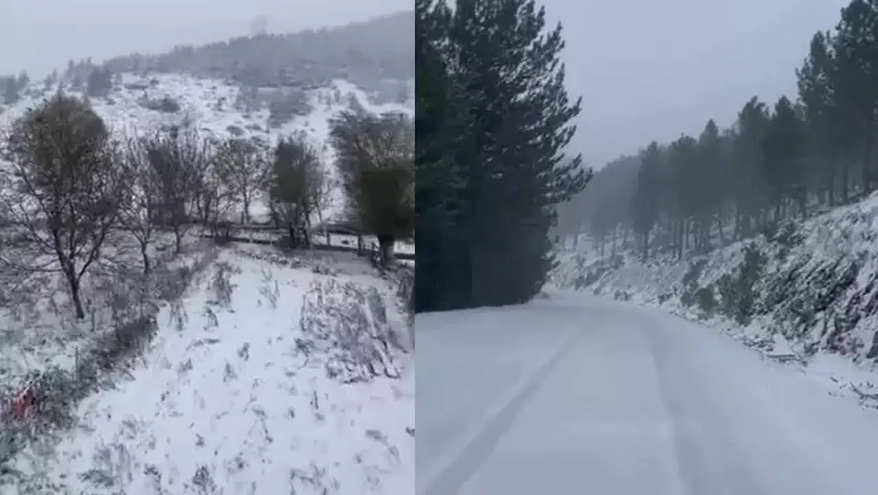 Adana ve Niğde'de Yoğun Kar Yağışı Ulaşımda Aksamalara Neden Oluyor