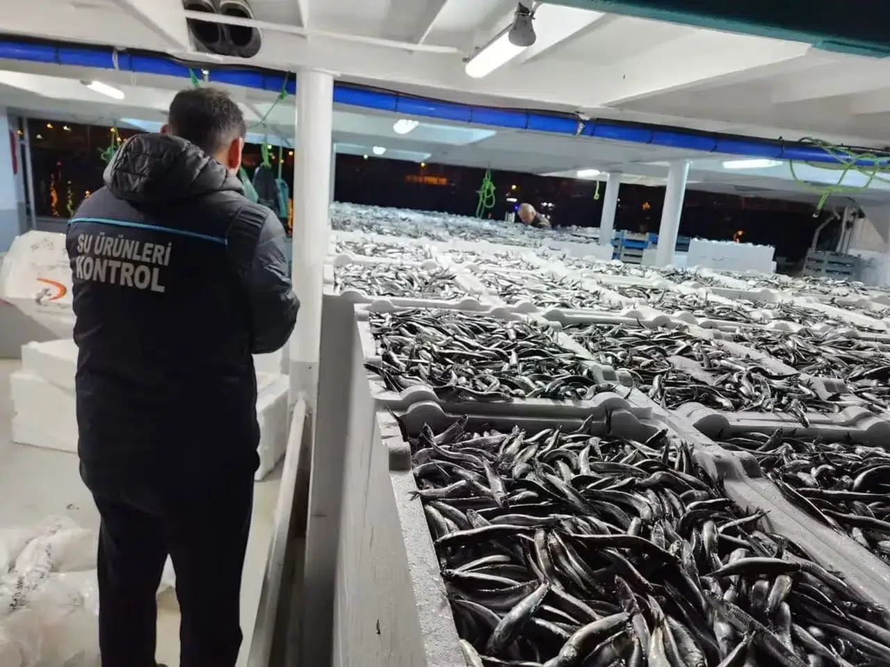 Trabzon'da Hamsi Avcılığı Denetimleri İle Sürdürülebilirlik Sağlanıyor