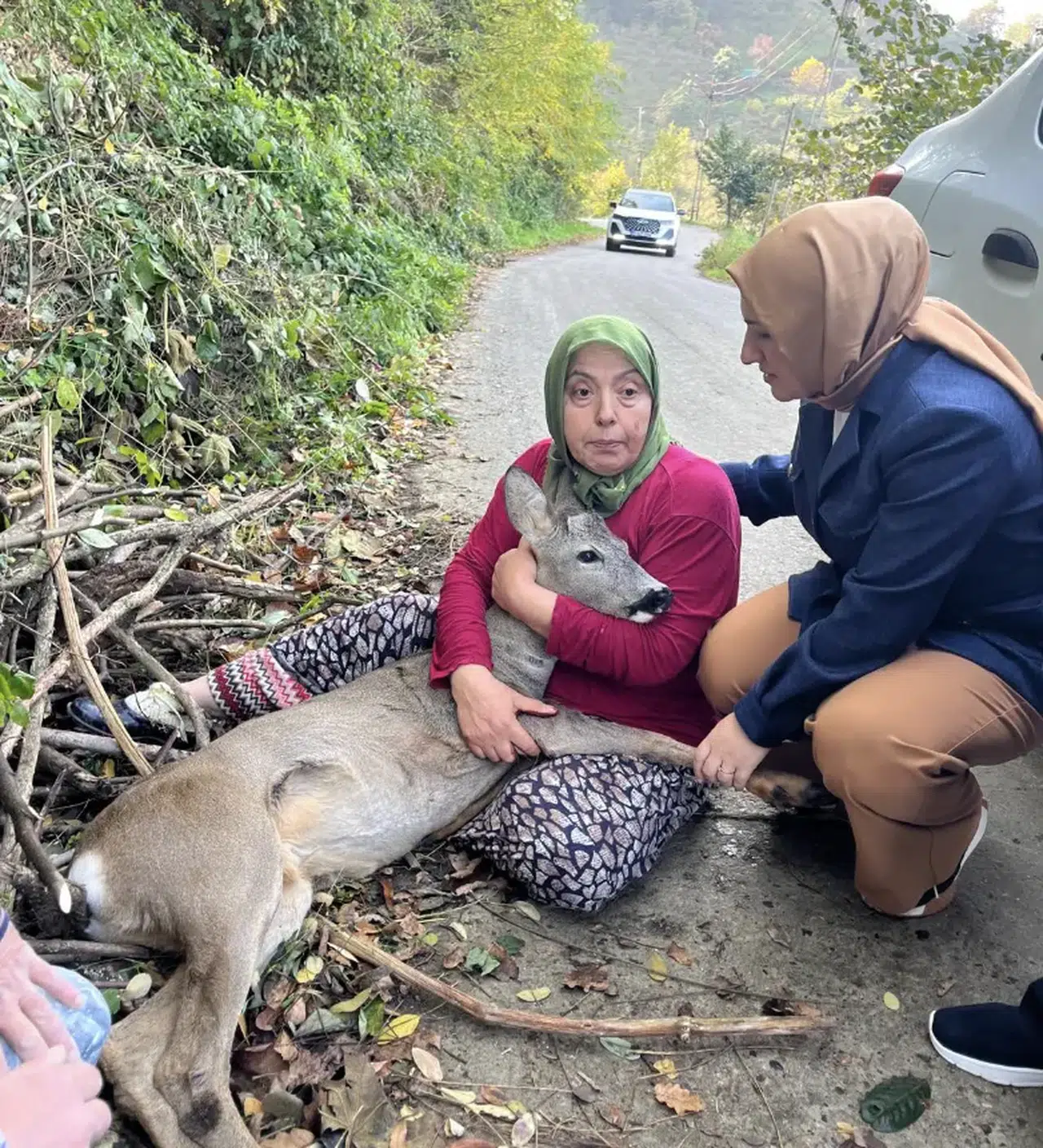 Trabzon'da Yaralı Ceylana Köylülerden Büyük Sahiplenme Örneği