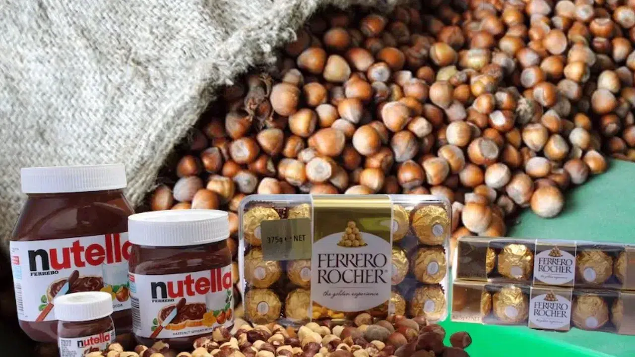 Fındık Pazarındaki Oynaklık Üreticilerde Endişe Yaratıyor!