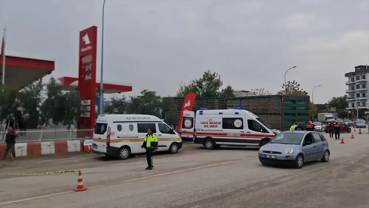 Osmaniye'de Tırın Çarptığı 86 Yaşındaki Yaya Hayatını Kaybetti