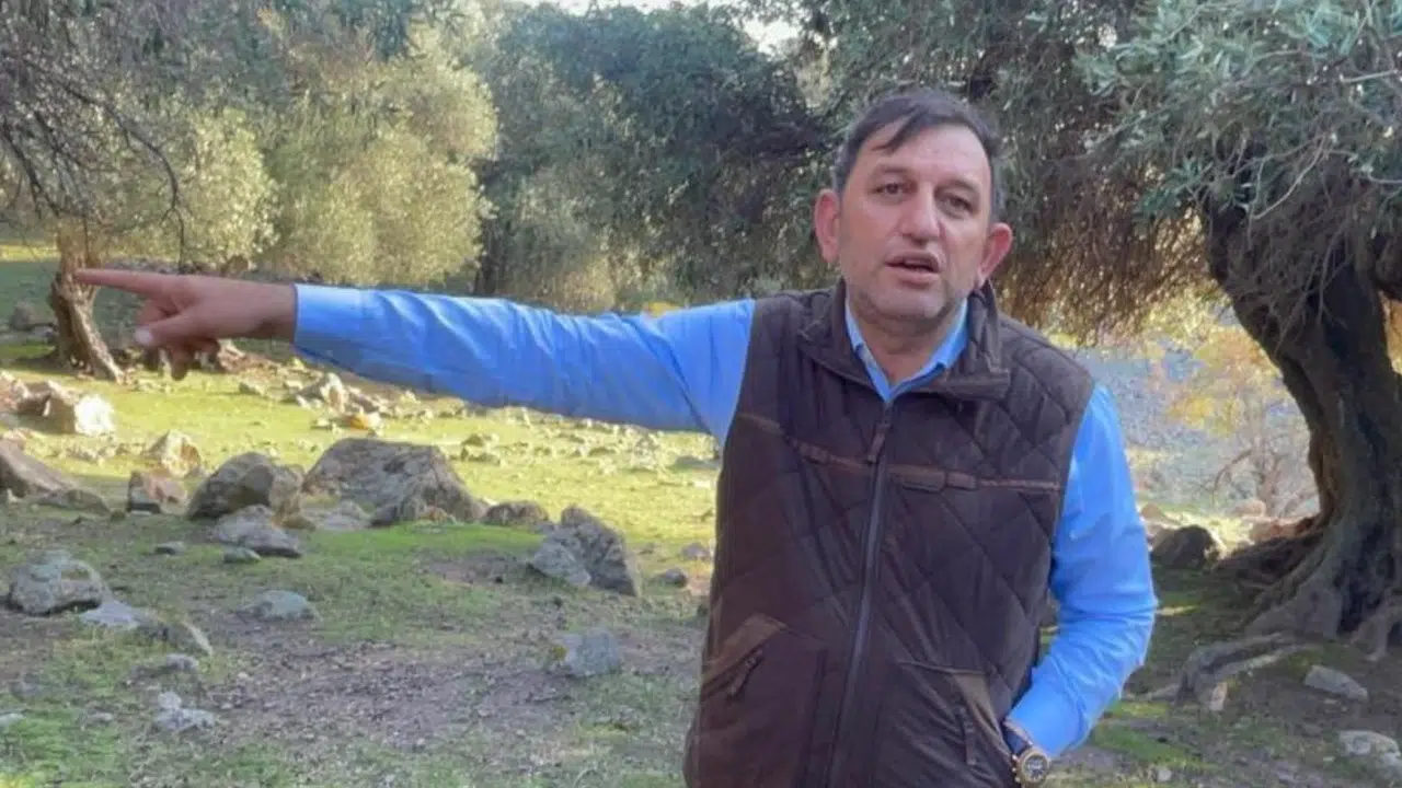 Gökçeada'da Ladolia Zeytini: Doğal, Tarihi ve Kültürel Mirasın Parçası