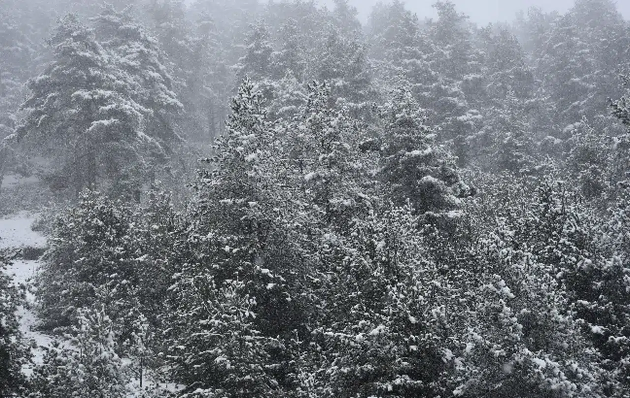 Zigana Dağı'nda Kar Yağışı! Doğa Tutkunları Eşsiz Manzarayla Buluştu