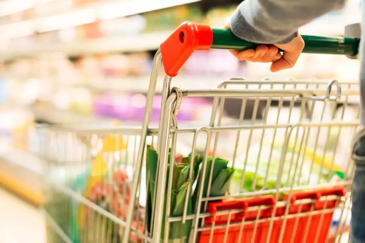 Evcil Hayvan Ürünleri Fiyatları Kasım'da Yüzde 16,97 Artış Gösterdi