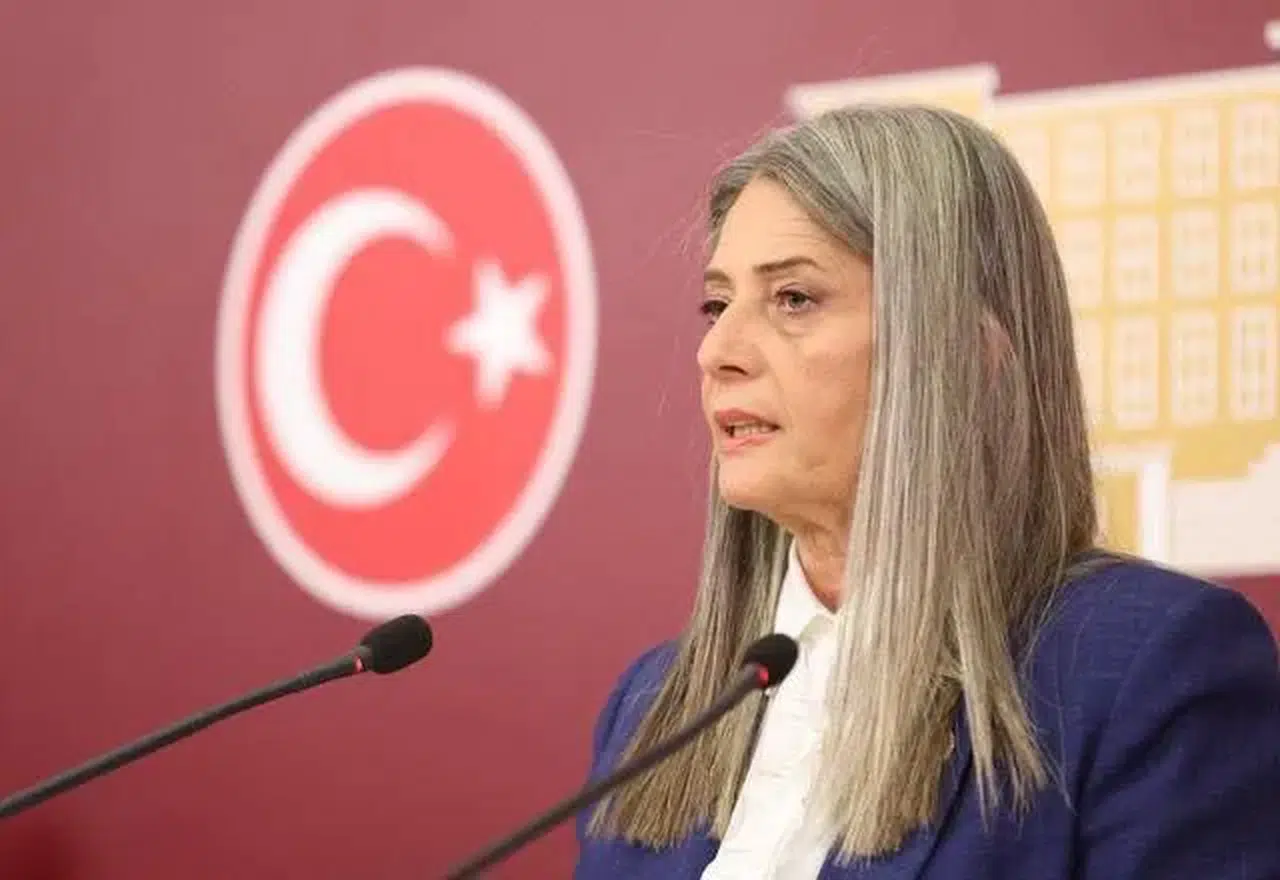 CHP'li Suiçmez: Türkiye'de İnsan Hakları İhlalleri Artıyor