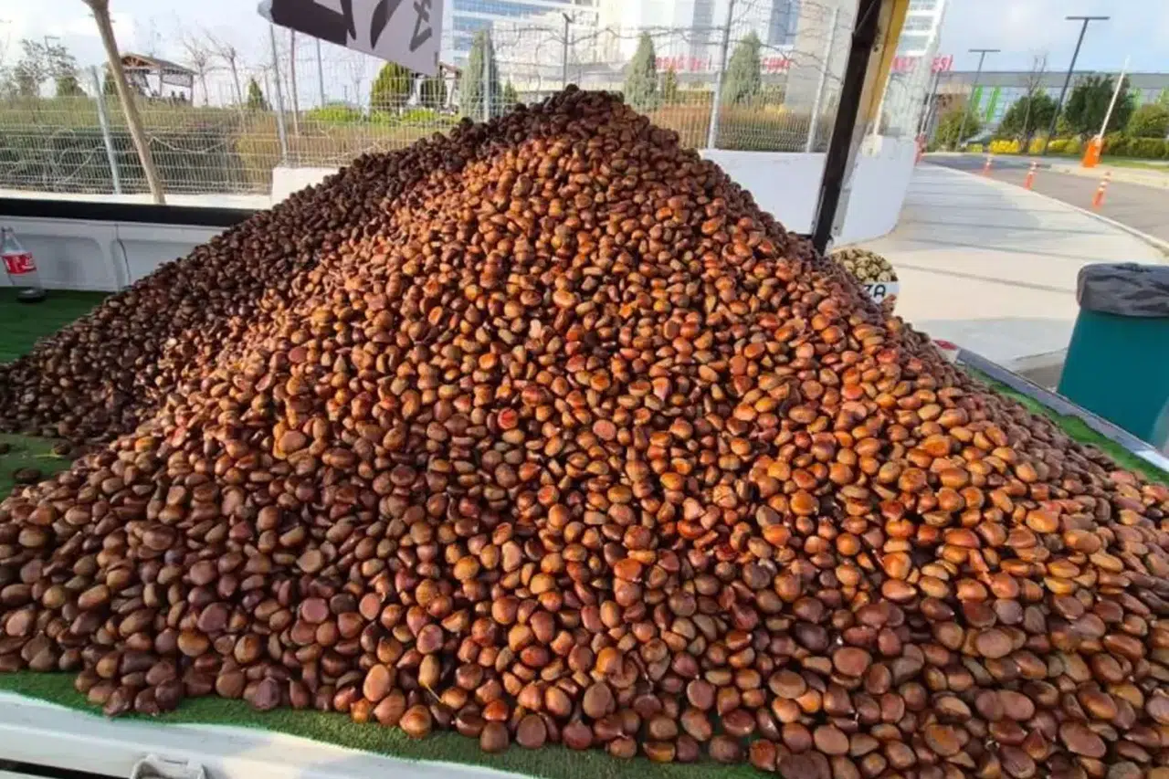 Kış Geldi, Sokaklar Kestane Koktu: Fiyatlar 175 Liraya Yükseldi!