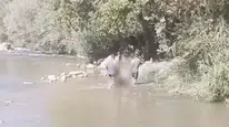 Eruh'ta Akıntıya Kapılan Genç, Arama Çalışmaları Sonrası Bulundu