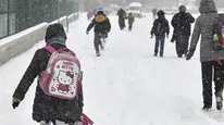 Ordu'da Yoğun Kar Nedeniyle 13 İlçede Eğitime 1 Gün Ara Verildi