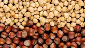 Fındık Fiyatları 9 Kasım’da Düştü, Üreticilerin Beklentileri Değişiyor