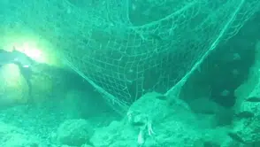 Karadeniz'deki Hayalet Ağlar Ekosistemi Tehdit Ediyor