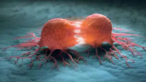 DSÖ: Kanser Vakalarının %37'si Önlenebilir Nedenlerden Kaynaklanıyor