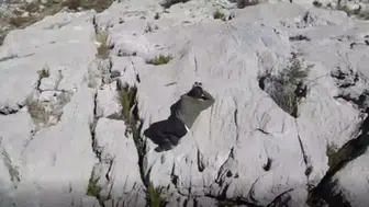 Eğirdir'de Dron Teknolojisi ile Kaçak Avcılara Geçit Yok!