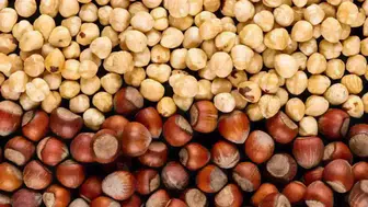 Fındık Fiyatları 9 Kasım’da Düştü, Üreticilerin Beklentileri Değişiyor