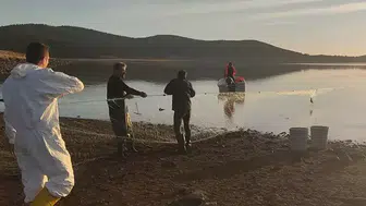 Bolu'da 500 Balık Kurtarıldı: Hayalet Ağa Kapılanlar Kurtarıldı!