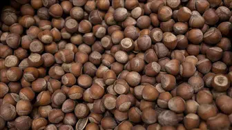 Karadeniz'de Fındık Fiyatları Durağan Seçimlerinde Kalıyor