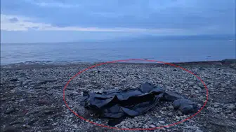 Mudanya'da Yürüyüşte Bulunanlar, Sahilde Erkek Cesediyle Karşılaştı