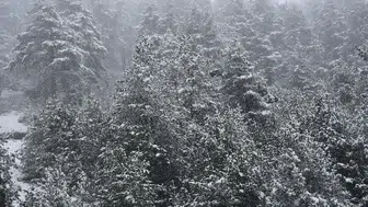 Zigana Dağı'nda Kar Yağışı! Doğa Tutkunları Eşsiz Manzarayla Buluştu