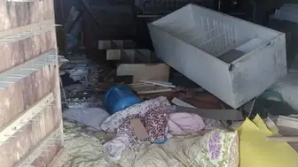 "Trabzon'da Ayıların Yayla Evlerine Saldırıları Artıyor!"