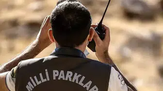 Kayseri'de Yasa Dışı Avcılığa Ceza: Yaban Keçisine 953 Bin TL Tazminat