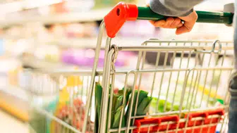 Evcil Hayvan Ürünleri Fiyatları Kasım'da Yüzde 16,97 Artış Gösterdi