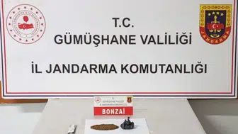 Gümüşhane'de Uyuşturucu Operasyonunda İki Şüpheli Gözaltına Alındı