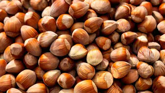 Trabzon'da Fındık Piyasasında Yeni Fiyatlar Belirlendi!