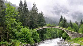 Türkiye Su Sıkıntısı Riskiyle Yüzyüze: Ormanların Önemi Artıyor