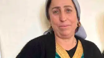 Nusaybin'de İki Kardeşin Cinayeti Sonrası Dini Nikahlı Eş Gözaltında