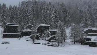 Doğu Karadeniz'de Yoğun Kar Yağışı Hayatı Olumsuz Etkiledi