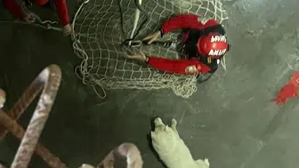 Trabzon'da Bir Köpek 7 Metrelik Kuyuda Mahsur Kaldı!