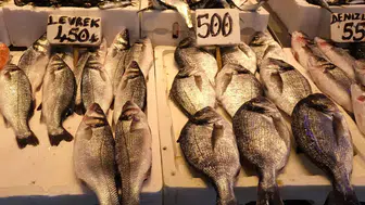 Kar Yağışı, Fırtına ve Hamsi Kıtlığı Trabzon Balık Pazarını Etkiledi