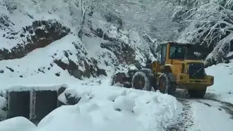 Trabzon'da Yoğun Kar Yağışı 24 Mahalle Yolunu Kapattı