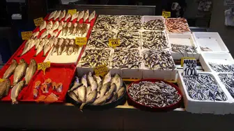 Karadeniz'deki Şiddetli Fırtına Balıkçılığı Sıkıntıya Soktu