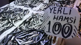 Karadeniz'de Hamsi Avı Sezonu Rekor Kırdı, Tezgahlarda Bolluk Var!