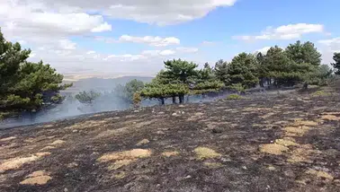 Kadınhanı'nda orman yangını kontrol altına alındı, bilgilendirme çalışmaları artıyor.