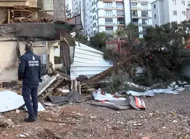 Maltepe'de Devrilen Çam Ağacı Park Halindeki Araca İsabet Etti