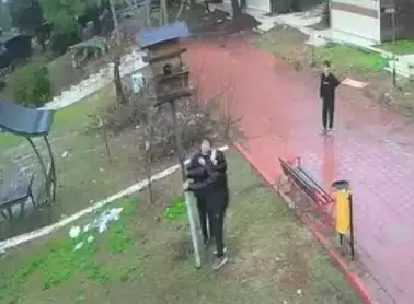 Adana'da Küçükler Dinozor Park'ta Kuş Yuva Yıkarak Doğaya Zarar Verdi!