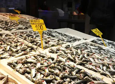 Trabzon’un Balık Pazarları'nda İstavrit Dominasyonu