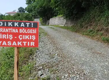 Araklı'da Şap Hastalığına Karşı 10 Km'lik Karantina Başlatıldı