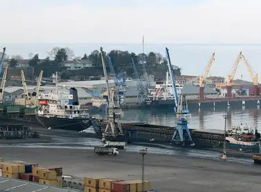 Trabzon Limanı'nda 19 Yasadışı Yaban Hayvan Trofesi Ele Geçirildi!