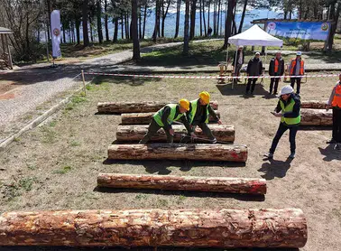 Trabzon'da Doğa Bilincini Yükselten Ormancılık Yarışmaları