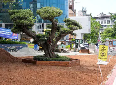 Trabzon'da Viyadük Altı Modern Yaşam Alanına Dönüşüyor