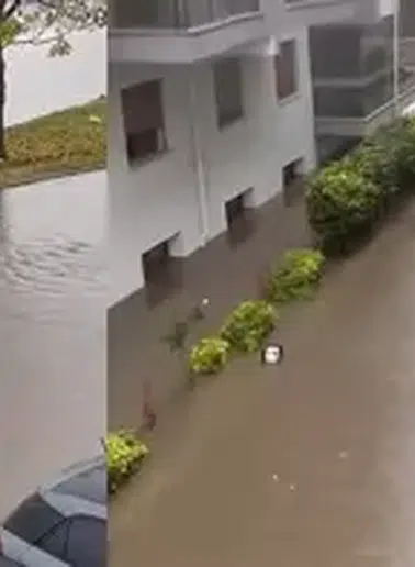 Menteşe'de Yağış ve Dolu, Hayatı Olumsuz Şekilde Etkiledi!
