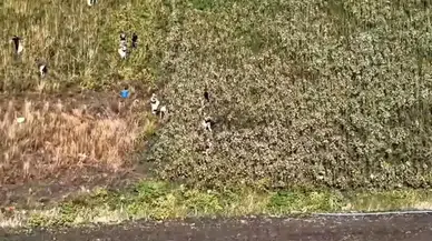 Hatay'da Jandarma'nın Uyuşturucu ile Mücadele Operasyonu