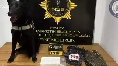 İskenderun'da 5.5 Milyon TL Değerinde Kokain Ele Geçirildi!