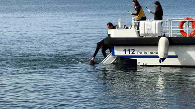 Erdek'te Denizde 81 Yaşındaki Adamın Cesedi Bulundu!