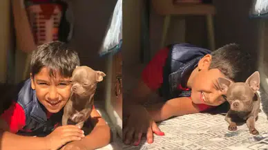 Selçuk'ta Üzücü Olay: 11 Yaşındaki Sıraç Özkerbent Hayatını Kaybetti!