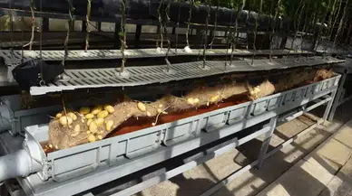 Yerli Patates Üretiminde Niğde Enstitüsü'nden Çığır Açan Gelişmeler